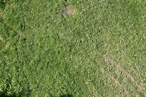 High Qualitygrass Textures Grass Soil Texture High