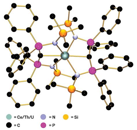 Recent examples on the web one common example of a ligand is found in siderophores, chemical compounds that bacteria secrete to break down iron particles. Strong donor ligands orient opposite each other in ...