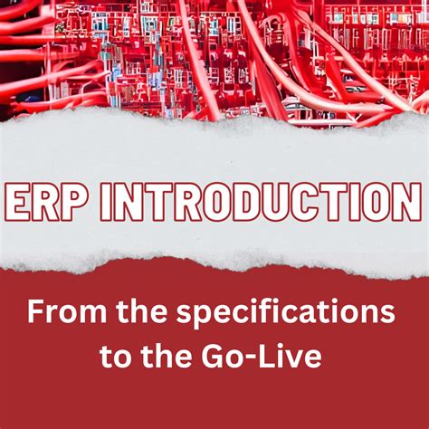 Erp Implementation The Process From Specifications To Go Live Mjr Gmbh