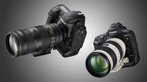 Best Telephoto Lens Top Lenses For Canon And Nikon Dslrs Techradar