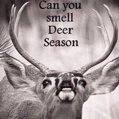 Deer Season Quote Hunting Season Quotes Deer Season Quotes Deer