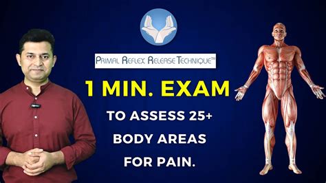 Primal Reflex Release Techniques Min Exam To Assess Body Areas For Pain Youtube