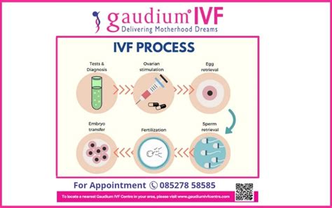 Ivf Treatment Procedure Step By Step Ivf Process Gaudium Ivf