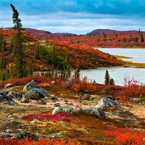 The Barrens Nwt Canadian Nature Northwest Territories Scenic Routes