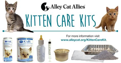 Kitten Care Kit Alley Cat Allies