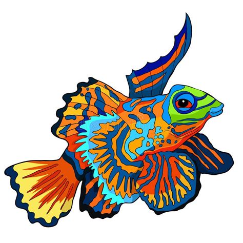 Mandarin Fish Flat Cartoon Realistic Drawing Hand Drawn Sea Animal