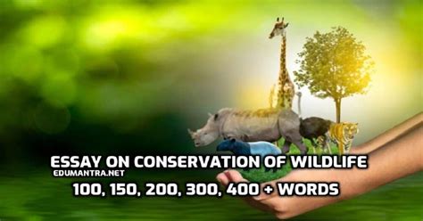 Essay On Conservation Of Wildlife 100 150 250 300 400 Words