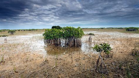 Many shocks that push people into poverty are directly or indirectly related to the environment and climate. Climate change prompts a rethink of Everglades management ...