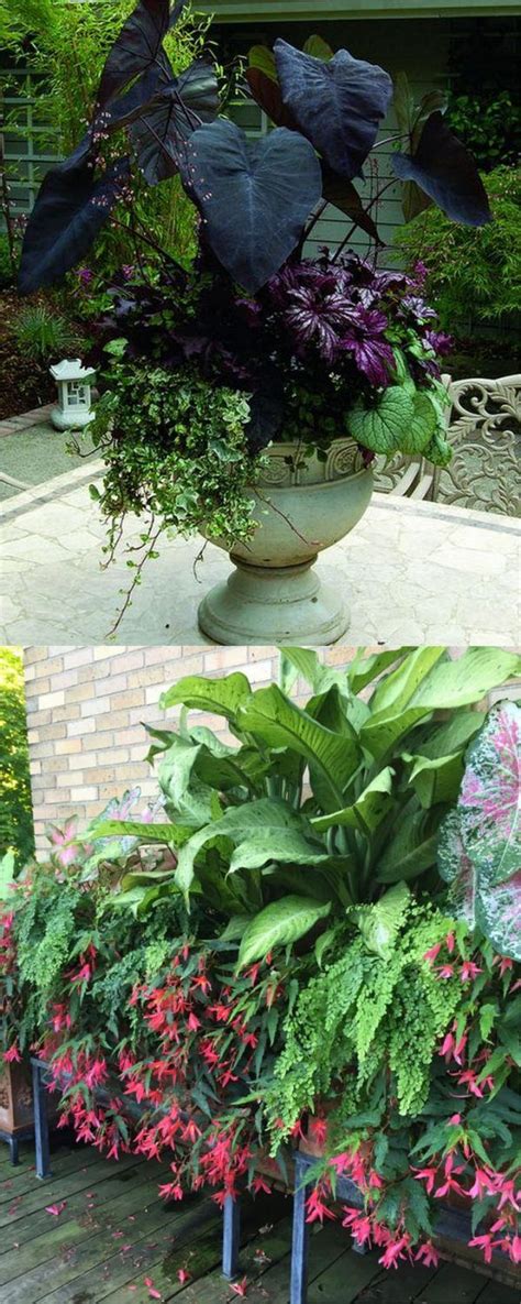 3315 Best Garden Containers Images On Pinterest Flowers