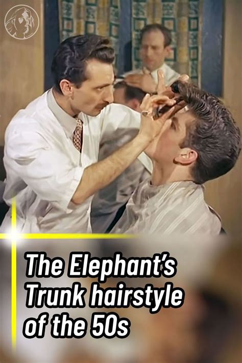 The Elephants Trunk Hairstyle Of The 50s Elephant Elephant Trunk
