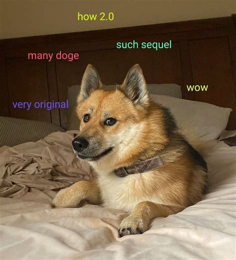 Ð) is a cryptocurrency invented by software engineers billy markus and jackson palmer, who decided to create a payment system that is instant. Doge Has New Meme Challenger in "Doge 2" - Funny Gallery ...