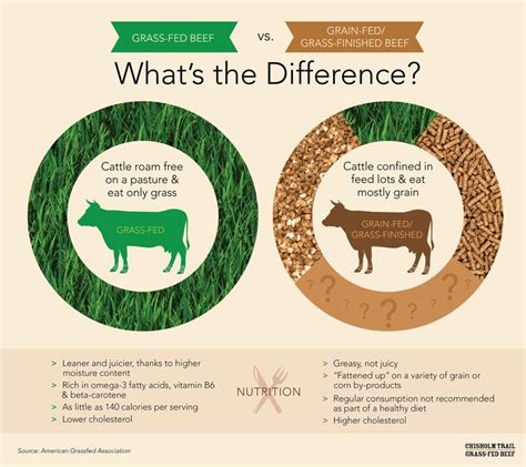 Infographic Grass Fed Vs Grain Fed Cows