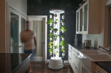 These are great ideas for vertical gardening, indoor gardening, or gardening outside your natural region. Hydroponic Designs | Advantages of Hydroponic Systems ...
