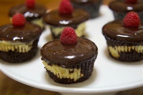 Chocolate Cheesecake Cupcakes