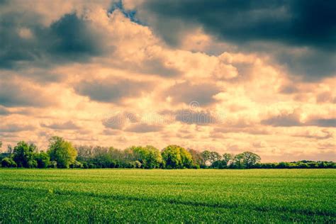 Dark Clouds Over A Field Stock Photo Image Of Cloudscape 55970264