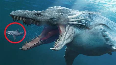 Top 10 Scariest Prehistoric Sea Creatures Pickytop