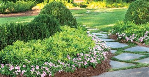 Plant Combinations A Warm And Welcoming Entry Boxwood Landscaping
