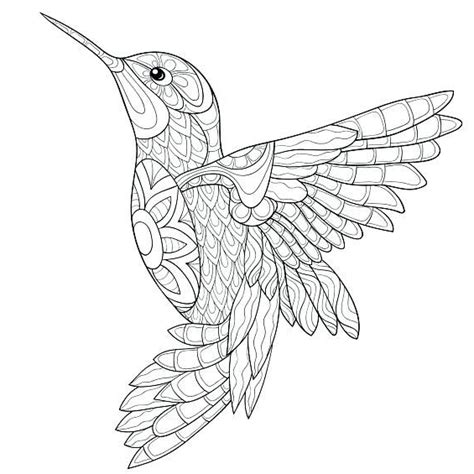 Mandalas Färbung | Bird coloring pages, Hummingbird drawing