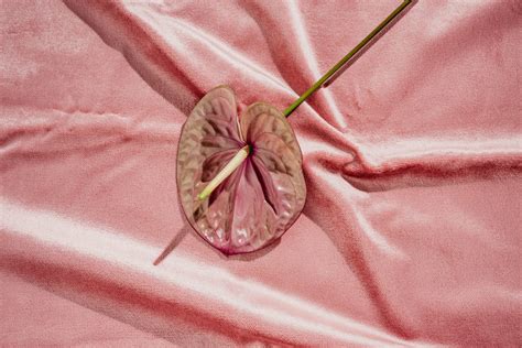 9 Vagina Types Why There S No Such Thing As Normal Labia