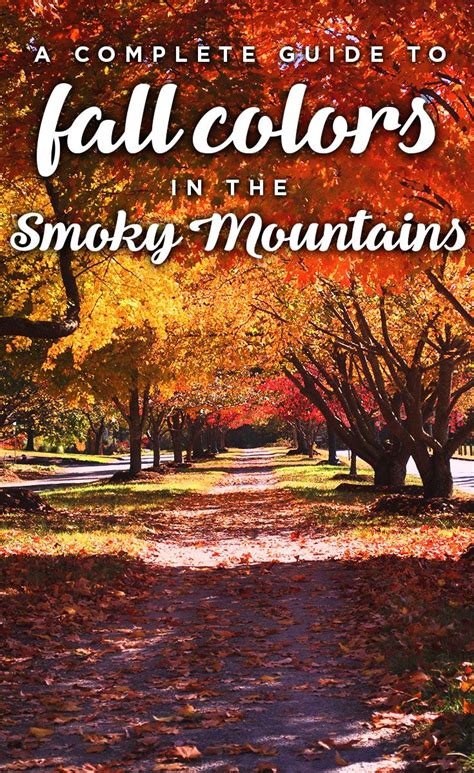 Guide To Fall Foliage In The Smoky Mountains Fall Vacations Mountain