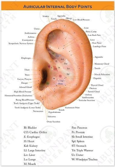 Pin On Health Auriculotherapy Auricular Acupuncture Ear Reflexology