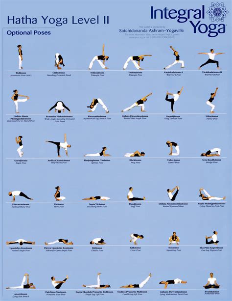 Yoga Moves For Beginners Posted By Dana Karpain At 314 Pm Iyengar