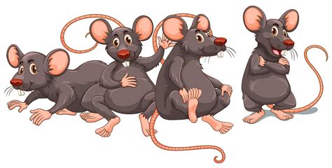 Pin By Velzevoula Angie On Cartoons Of All Kind Cute Rats Cartoon