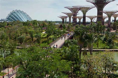 Is is a recreation heaven with water. Gardens by the Bay Singapore - Supertrees - e-architect