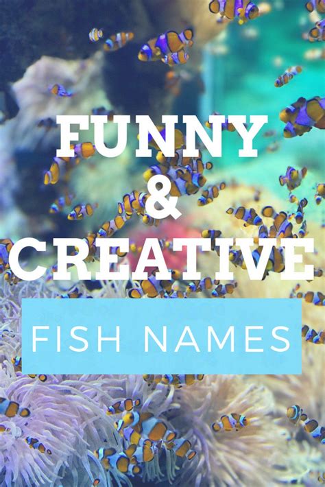 300 Funny And Clever Fish Names Pet Fish Glow Fish Baby Fish