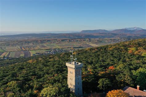 Bad Vöslau Weingut Herzog