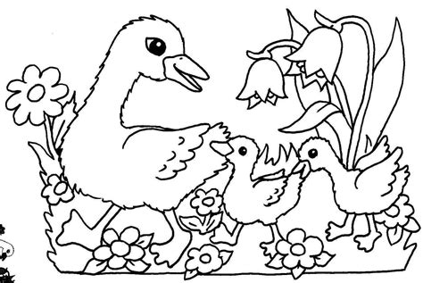 Im frühling bieten sich als motive für ihre fensterbilder vor allem blumen, schmetterlinge und osterbilder mit hasen, eiern und nestern an. Pin von Lena auf Coloring pages ~ kids | Ausmalbilder ...