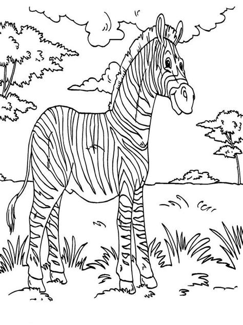 Zebra Rainforest Animals Coloring Page Download And Print