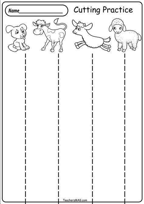 Cutting Practice For Kindergarten Worksheet