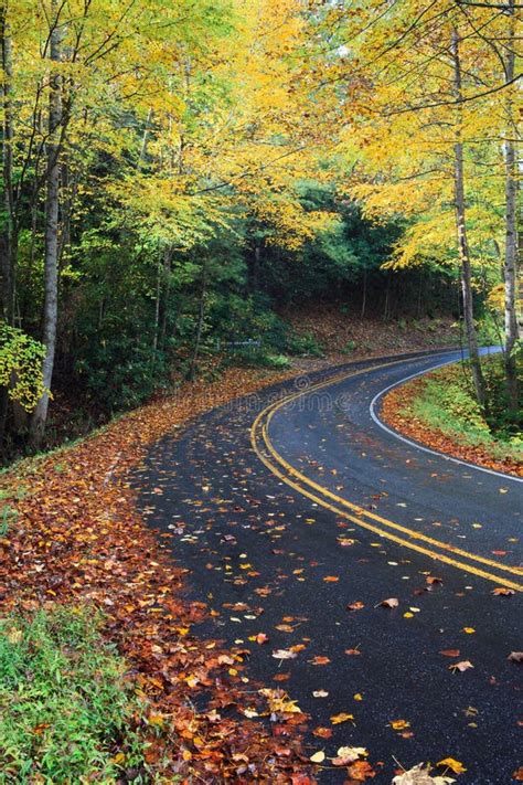 Country Mountain Road Surrounded By Colorful Autumn Trees Stock Photo