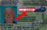 Get Fl Drivers License Online Pictures