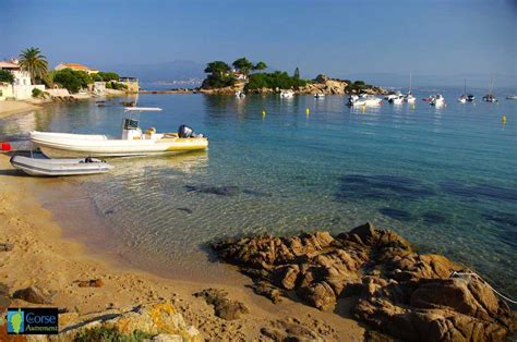 For other uses, see corse (disambiguation). Découverte de la Corse du Sud : Circuit en 7 jours