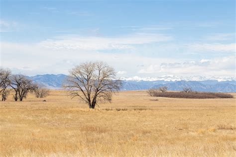 Rocky Mountain Arsenal National Wildlife Refuge Adams Co Flickr
