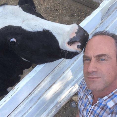 They were partners at their new york city precinct when svu premiered back in 1999, it didn't take long for fans to appreciate the iconic detective duo known as benson and stabler. This Is The New Meme All "Law And Order: SVU" Fans Need In Their Lives | Meme
