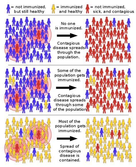 Herd immunity is a largely theoretical concept, yet for decades, it has furnished one of the key underpinnings for vaccine mandates in the united states. L'immunité de groupe - Voyage au cœur de la politique ...