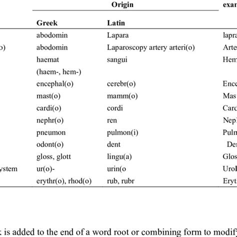 Terms Having Greek And Latin Origin Download Table
