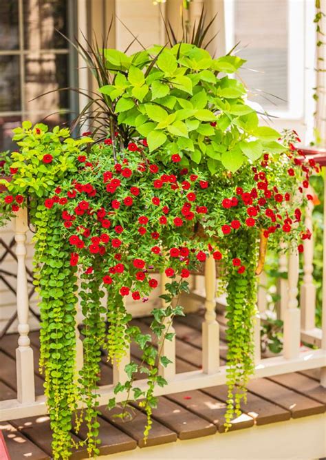 10 most pinned gardening ideas midwest living