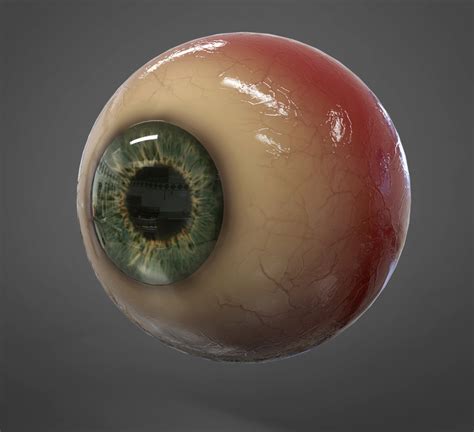 3d Model Realistic Human Eye Turbosquid 1432829