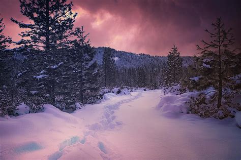 The Warmth Of Winter Photograph By Marnie Patchett Fine Art America