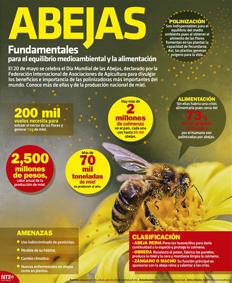 Nace anton janša, que provenía de una larga estirpe de apicultores y se. ¿#SabíasQué este 20 de mayo se celebra por primera vez el ...
