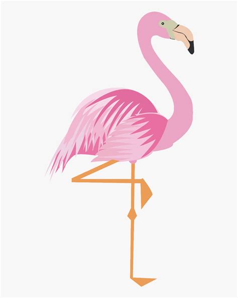 Flamingo Clipart Png ฟ ลา ม ง โก การตน Transparent Png