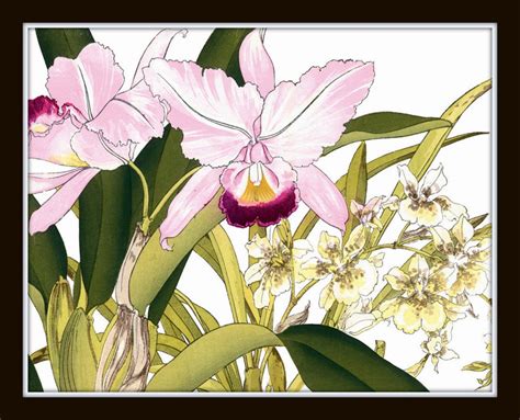 Tropical Woodblock Orchids Botanical Print Set No 20 Giclee Etsy
