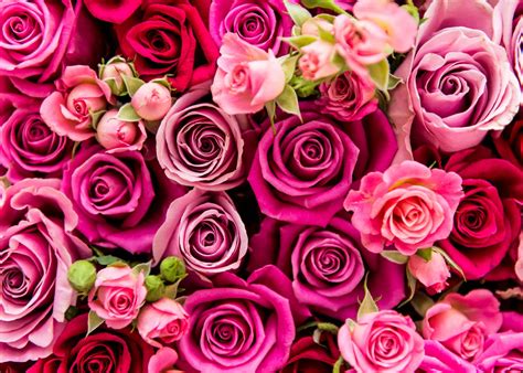 Mother's day is a celebration honoring mothers and celebrating motherhood, maternal bonds and the influence of mothers in society. Mother's Day Breakfast on Us!