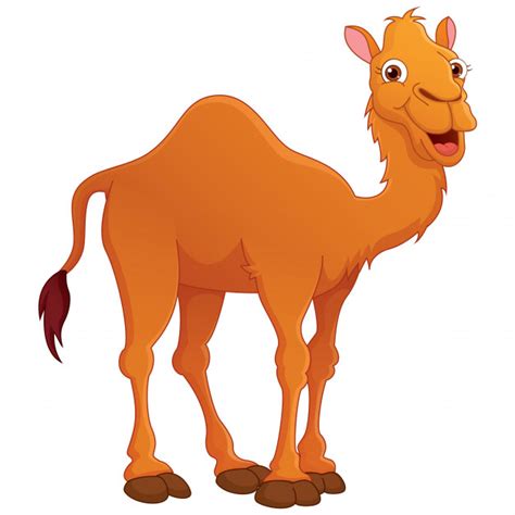 Share the best gifs now >>>. Illustratie van cartoon camel | Premium Vector
