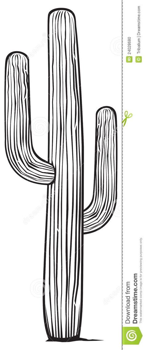 Download the free graphic resources in the form of png, eps, ai or psd. Image result for saguaro drawing | Cactus illustration ...
