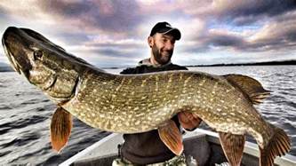 Monster Pike Fishing In Ireland Episode 1 Hd By Yuri Grisendi Youtube